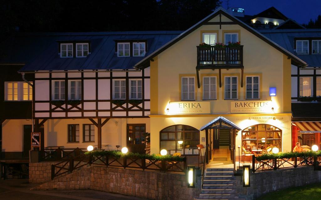 Hotel Erika Špindlerŭv Mlýn Exterior foto